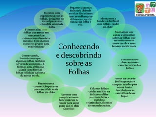 Conhecendo
e descobrindo
sobre as
Folhas
Pegamos algumas
folhas do chão da
escola e discutimos
suas semelhanças e
diferenças, qual a
função da folha e
etc.
Montamos a
bandeira do Brasil
com folhas caídas
do chão.
Montamos um
cartaz explicativo
sobre as folhas que
encontramos em
nossa escola e suas
funções medicinais
Com uma lupa
observamos as
características das
folhas
Fomos na casa de
jardinagem para
comprar mudas para
nossa horta,
descobrimos as
maravilhas desse
lugar.
Colamos folhas
caídas no chão na
folha de sulfite
partindo delas e
usando a
criatividade, fizemos
diversos desenhos.
Fizemos uma
pesquisa com os
funcionários da
escola para saber
quais são os chás
favoritos
Fizemos uma
competição para ver
quem recolhia mais
folhas do chão
Conversando,
descobrimos que
algumas folhas também
servem de alimento... E
fizemos uma deliciosa
salada com diversas
folhas colhidas da horta
da nossa escola.
Fizemos chás com
folhas que temos em
nossa escola e
criamos uma farmácia
natural. Convidamos
os outros grupos para
experimentar
Fizemos uma
experiência com as
folhas, deixamos no
álcool para ver a
clorofila saindo da
folha
 
