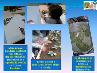 Montamos a
bandeira do Brasil
com folhas e
depois colorimos.
Descobrimos o
significado de cada
cor da nossa
bandeira.
Fomos a horta e
plantamos couve, alface
e rúcula.
Conhecemos os
benefícios do
hortelã e
bebemos esse
delicioso chá.
 