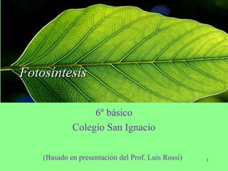 FotosíntesisFotosíntesis
6º básico
Colegio San Ignacio
(Basado en presentación del Prof. Luis Rossi) 1
 