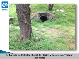 6.-Entrada de Colector pluvial, Periférico y Carretera a Tesistán
lado Norte
 