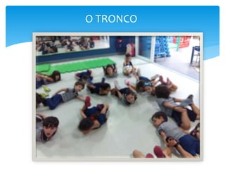 O TRONCO
 