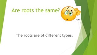 Same Roots g3 types of roots.pptx science powerpoint | PPTX