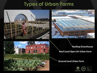 Types of Urban Farms
Rooftop Greenhouse
Ground Level Urban Farm
Roof Level Open Air Urban Farm
 