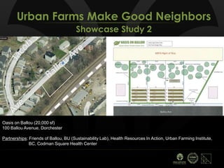 Urban Farms Make Good Neighbors
Showcase Study 2
Oasis on Ballou (20,000 sf)
100 Ballou Avenue, Dorchester
Partnerships: Friends of Ballou, BU (Sustainability Lab), Health Resources In Action, Urban Farming Institute,
BC, Codman Square Health Center
 