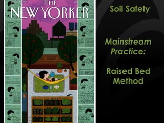 Mainstream
Practice:
Raised Bed
Method
Soil Safety
 