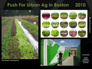 Push For Urban Ag in Boston 2010
City Growers (mixed greens)
Bloombrick(microgreens)
Cornerstalk
freight
container
hydroponic
growing
 