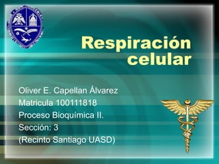 Respiración
celular
Oliver E. Capellan Álvarez
Matricula 100111818
Proceso Bioquímica II.
Sección: 3
(Recinto Santiago UASD)
 