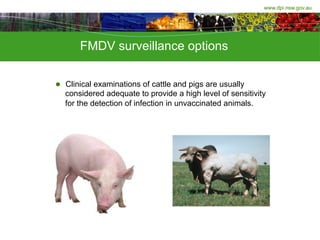 www.dpi.nsw.gov.au
FMDV surveillance options
l  Clinical examinations of cattle and pigs are usually
considered adequate t...