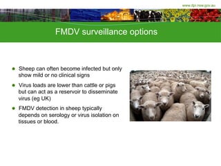 www.dpi.nsw.gov.au
FMDV surveillance options
l  Sheep can often become infected but only
show mild or no clinical signs
l ...