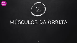 2.
MÚSCULOS DA ÓRBITA
11
 