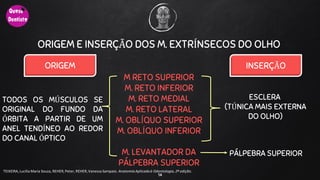 14
TEIXEIRA, Lucilia Maria Souza, REHER,Peter, REHER,Vanessa Sampaio. AnatomiaAplicadaà Odontologia, 2ª edição.
ORIGEM E INSERÇÃO DOS M. EXTRÍNSECOS DO OLHO
M RETO SUPERIOR
M. RETO INFERIOR
M. RETO MEDIAL
M. RETO LATERAL
M. OBLÍQUO SUPERIOR
M. OBLÍQUO INFERIOR
M. LEVANTADOR DA
PÁLPEBRA SUPERIOR
ORIGEM INSERÇÃO
TODOS OS MÚSCULOS SE
ORIGINAL DO FUNDO DA
ÓRBITA A PARTIR DE UM
ANEL TENDÍNEO AO REDOR
DO CANAL ÓPTICO
ESCLERA
(TÚNICA MAIS EXTERNA
DO OLHO)
PÁLPEBRA SUPERIOR
 