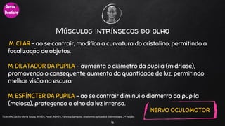 Músculos intrínsecos do olho
.M. CIIAR - ao se contrair, modifica a curvatura do cristalino, permitindo a
focalização de objetos.
M. DILATADOR DA PUPILA - aumenta o diâmetro da pupila (midríase),
promovendo o consequente aumento da quantidade de luz, permitindo
melhor visão no escuro.
M. ESFÍNCTER DA PUPILA - ao se contrair diminui o diâmetro da pupila
(meiose), protegendo o olho da luz intensa.
16
TEIXEIRA, Lucilia Maria Souza, REHER,Peter, REHER,Vanessa Sampaio. AnatomiaAplicadaà Odontologia, 2ª edição.
NERVO OCULOMOTOR
 