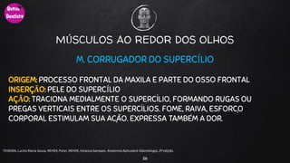 MÚSCULOS AO REDOR DOS OLHOS
26
TEIXEIRA, Lucilia Maria Souza, REHER,Peter, REHER,Vanessa Sampaio. AnatomiaAplicadaà Odontologia, 2ª edição.
M. CORRUGADOR DO SUPERCÍLIO
ORIGEM: PROCESSO FRONTAL DA MAXILA E PARTE DO OSSO FRONTAL
INSERÇÃO: PELE DO SUPERCÍLIO
AÇÃO: TRACIONA MEDIALMENTE O SUPERCÍLIO, FORMANDO RUGAS OU
PREGAS VERTICAIS ENTRE OS SUPERCÍLIOS. FOME, RAIVA, ESFORÇO
CORPORAL ESTIMULAM SUA AÇÃO. EXPRESSA TAMBÉM A DOR.
 