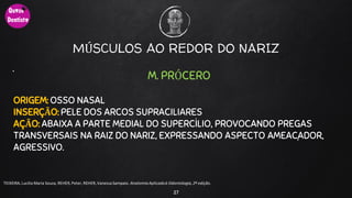 MÚSCULOS AO REDOR DO NARIZ
.
27
TEIXEIRA, Lucilia Maria Souza, REHER,Peter, REHER,Vanessa Sampaio. AnatomiaAplicadaà Odontologia, 2ª edição.
M. PRÓCERO
ORIGEM: OSSO NASAL
INSERÇÃO: PELE DOS ARCOS SUPRACILIARES
AÇÃO: ABAIXA A PARTE MEDIAL DO SUPERCÍLIO, PROVOCANDO PREGAS
TRANSVERSAIS NA RAIZ DO NARIZ, EXPRESSANDO ASPECTO AMEAÇADOR,
AGRESSIVO.
 