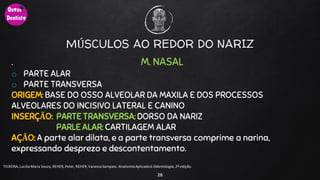 MÚSCULOS AO REDOR DO NARIZ
.
28
TEIXEIRA, Lucilia Maria Souza, REHER,Peter, REHER,Vanessa Sampaio. AnatomiaAplicadaà Odontologia, 2ª edição.
M. NASAL
o PARTE ALAR
o PARTE TRANSVERSA
ORIGEM: BASE DO OSSO ALVEOLAR DA MAXILA E DOS PROCESSOS
ALVEOLARES DO INCISIVO LATERAL E CANINO
INSERÇÃO: PARTE TRANSVERSA: DORSO DA NARIZ
PARLE ALAR: CARTILAGEM ALAR
AÇÃO: A parte alar dilata, e a parte transversa comprime a narina,
expressando desprezo e descontentamento.
 