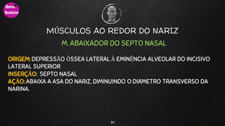 29
MÚSCULOS AO REDOR DO NARIZ
M. ABAIXADOR DO SEPTO NASAL
ORIGEM: DEPRESSÃO ÓSSEA LATERAL À EMINÊNCIA ALVEOLAR DO INCISIVO
LATERAL SUPERIOR
INSERÇÃO: SEPTO NASAL
AÇÃO: ABAIXA A ASA DO NARIZ, DIMINUINDO O DIÂMETRO TRANSVERSO DA
NARINA.
 