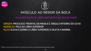 .
31
TEIXEIRA, Lucilia Maria Souza, REHER,Peter, REHER,Vanessa Sampaio. AnatomiaAplicadaà Odontologia, 2ª edição.
M. LEVANTADOR DO LÁBIO SUPERIOR E DA ASA DO NARIZ
ORIGEM: PROCESSO FRONTAL DA MAXILA E ÂNGULO INTERNO DO OLHO
INSERÇÃO: PELE DO LÁBIO SUPERIOR
AÇÃO: ELEVA E DOBRA O LÁBIO SUPERIOR, E DILATA A NARINA.
MÚSCULO AO REDOR DA BOCA
 