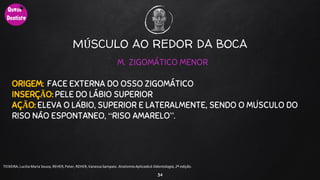 34
TEIXEIRA, Lucilia Maria Souza, REHER,Peter, REHER,Vanessa Sampaio. AnatomiaAplicadaà Odontologia, 2ª edição.
M. ZIGOMÁTICO MENOR
ORIGEM: FACE EXTERNA DO OSSO ZIGOMÁTICO
INSERÇÃO: PELE DO LÁBIO SUPERIOR
AÇÃO: ELEVA O LÁBIO, SUPERIOR E LATERALMENTE, SENDO O MÚSCULO DO
RISO NÃO ESPONTÂNEO, “RISO AMARELO”.
MÚSCULO AO REDOR DA BOCA
 
