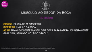 36
TEIXEIRA, Lucilia Maria Souza, REHER,Peter, REHER,Vanessa Sampaio. AnatomiaAplicadaà Odontologia, 2ª edição.
M. RISÓRIO
ORIGEM: FÁSCIA DO M. MASSETER
INSERÇÃO: ​ÂNGULO DA BOCA
AÇÃO: PUXA LEVEMENTE O ANGULO DA BOCA PARA LATERAL E LIGEIRAMENTE
PARA CIMA, ATUANDO NO “RISO GRÁCIL”.
MÚSCULO AO REDOR DA BOCA
 