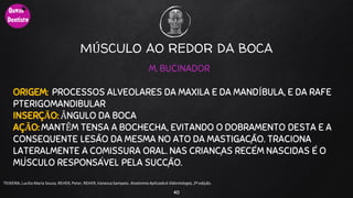 40
TEIXEIRA, Lucilia Maria Souza, REHER,Peter, REHER,Vanessa Sampaio. AnatomiaAplicadaà Odontologia, 2ª edição.
M. BUCINADOR
ORIGEM: PROCESSOS ALVEOLARES DA MAXILA E DA MANDÍBULA, E DA RAFE
PTERIGOMANDIBULAR
INSERÇÃO: ÂNGULO DA BOCA
AÇÃO: MANTÊM TENSA A BOCHECHA, EVITANDO O DOBRAMENTO DESTA E A
CONSEQÜENTE LESÃO DA MESMA NO ATO DA MASTIGAÇÃO. TRACIONA
LATERALMENTE A COMISSURA ORAL. NAS CRIANÇAS RECÉM NASCIDAS É O
MÚSCULO RESPONSÁVEL PELA SUCÇÃO.
MÚSCULO AO REDOR DA BOCA
 