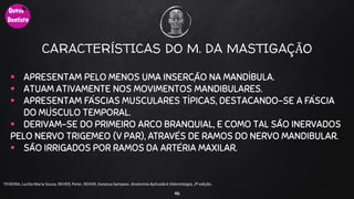 CARACTERÍSTICAS DO M. DA MASTIGAÇÃO
 APRESENTAM PELO MENOS UMA INSERÇÃO NA MANDÍBULA.
 ATUAM ATIVAMENTE NOS MOVIMENTOS MANDIBULARES.
 APRESENTAM FÁSCIAS MUSCULARES TÍPICAS, DESTACANDO-SE A FÁSCIA
DO MÚSCULO TEMPORAL.
 DERIVAM-SE DO PRIMEIRO ARCO BRANQUIAL, E COMO TAL SÃO INERVADOS
PELO NERVO TRIGÊMEO (V PAR), ATRAVÉS DE RAMOS DO NERVO MANDIBULAR.
 SÃO IRRIGADOS POR RAMOS DA ARTÉRIA MAXILAR.
46
TEIXEIRA, Lucilia Maria Souza, REHER,Peter, REHER,Vanessa Sampaio. AnatomiaAplicadaà Odontologia, 2ª edição.
 