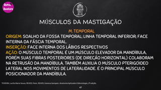 MÚSCULOS DA MASTIGAÇÃO
M. TEMPORAL
ORIGEM: SOALHO DA FOSSA TEMPORAL; LINHA TEMPORAL INFERIOR; FACE
INTERNA DA FÁSCIA TEMPORAL.
INSERÇÃO: FACE INTERNA DOS LÁBIOS RESPECTIVOS
AÇÃO: O MÚSCULO TEMPORAL É UM MÚSCULO ELEVADOR DA MANDÍBULA,
PORÉM SUAS FIBRAS POSTERIORES (DE DIREÇÃO HORIZONTAL) COLABORAM
NA RETRUSÃO DA MANDÍBULA. TAMBÉM AUXILIA O MÚSCULO PTERIGÓIDEO
LATERAL NOS MOVIMENTOS DE LATERALIDADE. É O PRINCIPAL MÚSCULO
POSICIONADOR DA MANDÍBULA.
47
TEIXEIRA, Lucilia Maria Souza, REHER,Peter, REHER,Vanessa Sampaio. AnatomiaAplicadaà Odontologia, 2ª edição.
 
