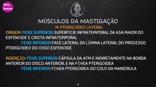 MÚSCULOS DA MASTIGAÇÃO
M. PTERIGÓIDEO LATERAL
ORIGEM: FEIXE SUPERIOR: SUPERFÍCIE INFRATEMPORAL DA ASA MAIOR DO
ESFENÓIDE E CRISTA INFRATEMPORAL
FEIXE INFERIOR: FACE LATERAL DA LÂMINA LATERAL DO PROCESSO
PTERIGÓIDEO DO OSSO ESFENÓIDE
INSERÇÃO: FEIXE SUPERIOR: CÁPSULA DA ATM E INDIRETAMENTE NA BORDA
ANTERIOR DO DISCO ANTERIOR, E NA FÓVEA PTERIGÓIDEA
FEIXE INFERIOR: FÓVEA PTERGÓIDEA DO COLO DA MANDÍBULA
51
 