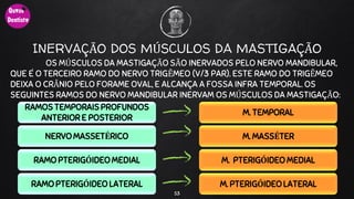 INERVAÇÃO DOS MÚSCULOS DA MASTIGAÇÃO
OS MÚSCULOS DA MASTIGAÇÃO SÃO INERVADOS PELO NERVO MANDIBULAR,
QUE É O TERCEIRO RAMO DO NERVO TRIGÊMEO (V/3 PAR). ESTE RAMO DO TRIGÊMEO
DEIXA O CRÂNIO PELO FORAME OVAL, E ALCANÇA A FOSSA INFRA TEMPORAL. OS
SEGUINTES RAMOS DO NERVO MANDIBULAR INERVAM OS MÚSCULOS DA MASTIGAÇÃO:
53
RAMOS TEMPORAIS PROFUNDOS
ANTERIOR E POSTERIOR
NERVO MASSETÉRICO
RAMO PTERIGÓIDEO MEDIAL
RAMOPTERIGÓIDEO LATERAL
M. TEMPORAL
M. MASSÉTER
M. PTERIGÓIDEO MEDIAL
M. PTERIGÓIDEO LATERAL
 