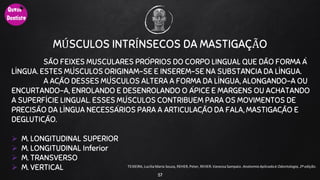 MÚSCULOS INTRÍNSECOS DA MASTIGAÇÃO
SÃO FEIXES MUSCULARES PRÓPRIOS DO CORPO LINGUAL QUE DÃO FORMA À
LÍNGUA. ESTES MÚSCULOS ORIGINAM-SE E INSEREM-SE NA SUBSTÂNCIA DA LÍNGUA.
A AÇÃO DESSES MÚSCULOS ALTERA A FORMA DA LÍNGUA, ALONGANDO-A OU
ENCURTANDO-A, ENROLANDO E DESENROLANDO O ÁPICE E MARGENS OU ACHATANDO
A SUPERFÍCIE LINGUAL. ESSES MÚSCULOS CONTRIBUEM PARA OS MOVIMENTOS DE
PRECISÃO DA LÍNGUA NECESSÁRIOS PARA A ARTICULAÇÃO DA FALA, MASTIGAÇÃO E
DEGLUTIÇÃO.
 M. LONGITUDINAL SUPERIOR
 M. LONGITUDINAL Inferior
 M. TRANSVERSO
 M. VERTICAL
57
TEIXEIRA, Lucilia Maria Souza, REHER,Peter, REHER,Vanessa Sampaio. AnatomiaAplicadaà Odontologia, 2ª edição.
 