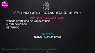 SEGUNDO ARCO BRANQUIAL (HIÓIDEO)
MÚSCULOS DA MÍMICA FACIAL
o VENTRE POSTERIOR DO M.DIGÁSTRICO
o M.ESTILO HIOIDEO
o ESTAPÉDIO
INERVAÇÃO
NERVO FACIAL (VII PAR)
7
TEIXEIRA, Lucilia Maria Souza, REHER,Peter, REHER,Vanessa Sampaio. AnatomiaAplicadaà Odontologia, 2ª edição.
 