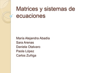 Matrices y sistemas de
ecuaciones


María Alejandra Abadía
Sara Arenas
Daniela Otalvaro
Paola López
Carlos Zuñiga
 