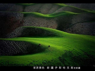 草原景色  新 疆 伊 犁 特 克 斯 老新疆 