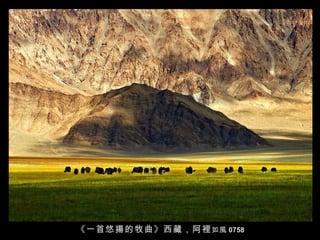 《 一首悠揚的牧曲 》西藏，阿裡 如風 0758 