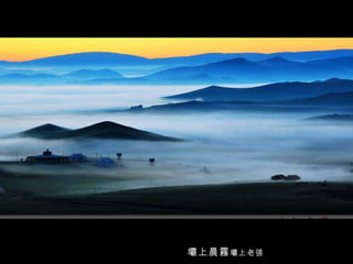 壩上晨霧 壩上老張   