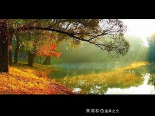 東湖秋色 溫柔之光 