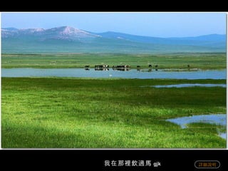 我在那裡飲過馬 gjk 詳細說明 