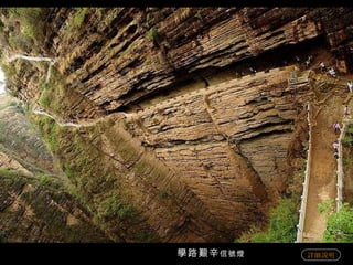 學路艱辛 信號燈   詳細說明 