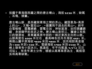 拍攝于青海與西藏之間的唐古喇山，海拔 5230 米，缺氧、耳鳴、頭暈。 唐古喇山脈，是西藏與青海之間的界山。藏語意為 “ 高原上的山 ” ，又稱 “ 當拉山 ” ， “ 雄鷹飛不過去的高山 ” 。終年白雪皚皚，雲霧繚繞，雷電交加，神秘莫測，如同頭纏錦鍛，身披鎧甲的英武之神。唐古喇山是怒江、瀾滄江和長江的發源地，是青藏高原中部的一條近東西走向的山脈。山脈高度在 6000 米左右，最高峰各拉丹冬海拔 6621 米。兩側山麓平原海拔 4600 米到 4800 米，因而相對高差僅為 1300 米到 1500 米。雪線海拔 5400 米到 5500 米。山峰上發育有小型冰川。氣溫低，年平均氣溫 ﹣ 4.4℃( 沱沱河站 ) ，有多年凍土分佈，植被以高寒草原為主，氣候惡劣和高寒缺氧。 返回 