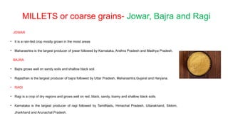 MILLETS or coarse grains- Jowar, Bajra and Ragi
JOWAR
• It is a rain-fed crop mostly grown in the moist areas
• Maharashtra is the largest producer of jowar followed by Karnataka, Andhra Pradesh and Madhya Pradesh.
BAJRA
• Bajra grows well on sandy soils and shallow black soil.
• Rajasthan is the largest producer of bajra followed by Uttar Pradesh, Maharashtra,Gujarat and Haryana.
• RAGI
• Ragi is a crop of dry regions and grows well on red, black, sandy, loamy and shallow black soils.
• Karnataka is the largest producer of ragi followed by TamilNadu, Himachal Pradesh, Uttarakhand, Sikkim,
Jharkhand and Arunachal Pradesh.
 