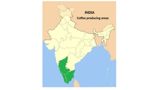 Coffee producing areas
INDIA
 