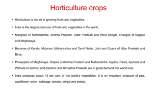 Horticulture crops
• Horticulture is the art of growing fruits and vegetables.
• India is the largest producer of fruits and vegetables in the world.
• Mangoes of Maharashtra, Andhra Pradesh, Uttar Pradesh and West Bengal. Oranges of Nagpur
and Meghalaya.
• Bananas of Kerala, Mizoram, Maharashtra and Tamil Nadu. Lichi and Guava of Uttar Pradesh and
Bihar.
• Pineapples of Meghalaya. Grapes of Andhra Pradesh and Maharashtra. Apples, Pears, Apricots and
Walnuts of Jammu and Kashmir and Himachal Pradesh are in great demand the world over.
• India produces about 13 per cent of the world’s vegetables. It is an important producer of pea,
cauliflower, onion, cabbage, tomato, brinjal and potato.
 