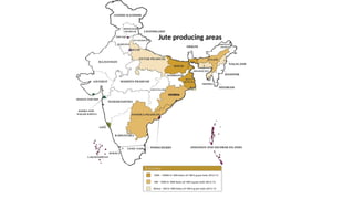 Jute producing areas
 