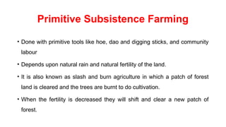 Primitive Subsistence Farming
• Done with primitive tools like hoe, dao and digging sticks, and community
labour
• Depends upon natural rain and natural fertility of the land.
• It is also known as slash and burn agriculture in which a patch of forest
land is cleared and the trees are burnt to do cultivation.
• When the fertility is decreased they will shift and clear a new patch of
forest.
 