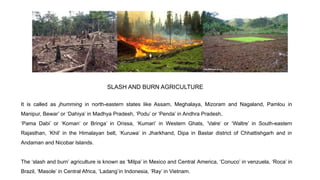 SLASH AND BURN AGRICULTURE
It is called as jhumming in north-eastern states like Assam, Meghalaya, Mizoram and Nagaland, Pamlou in
Manipur, Bewar’ or ‘Dahiya’ in Madhya Pradesh, ‘Podu’ or ‘Penda’ in Andhra Pradesh,
‘Pama Dabi’ or ‘Koman’ or Bringa’ in Orissa, ‘Kumari’ in Western Ghats, ‘Valre’ or ‘Waltre’ in South-eastern
Rajasthan, ‘Khil’ in the Himalayan belt, ‘Kuruwa’ in Jharkhand, Dipa in Bastar district of Chhattishgarh and in
Andaman and Nicobar Islands.
The ‘slash and burn’ agriculture is known as ‘Milpa’ in Mexico and Central America, ‘Conuco’ in venzuela, ‘Roca’ in
Brazil, ‘Masole’ in Central Africa, ‘Ladang’in Indonesia, ‘Ray’ in Vietnam.
 