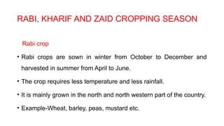 RABI, KHARIF AND ZAID CROPPING SEASON
Rabi crop
• Rabi crops are sown in winter from October to December and
harvested in summer from April to June.
• The crop requires less temperature and less rainfall.
• It is mainly grown in the north and north western part of the country.
• Example-Wheat, barley, peas, mustard etc.
 