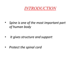 INTRODUCTION
• Spine is one of the most important part
of human body
• It gives structure and support
• Protect the spinal cord
 