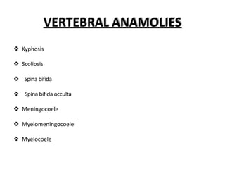 VERTEBRAL ANAMOLIES
 Kyphosis
 Scoliosis
 Spina bifida
 Spina bifida occulta
 Meningocoele
 Myelomeningocoele
 Myelocoele
 