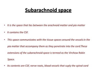 Subarachnoid space
• It is the space that lies between the arachnoid matter and pia matter
• It contains the CSF.
• This space communicates with the tissue spaces around the vessels in the
pia matter that accompany them as they penetrate into the cord.These
extensions of the subarachnoid space is termed as the Virchow Robin
Space.
• Its contents are CSF, nerve roots, blood vessels that suply the spinal cord
 