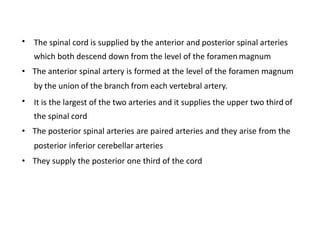 • The spinal cord is supplied by the anterior and posterior spinal arteries
which both descend down from the level of the foramen magnum
• The anterior spinal artery is formed at the level of the foramen magnum
by the union of the branch from each vertebral artery.
• It is the largest of the two arteries and it supplies the upper two third of
the spinal cord
• The posterior spinal arteries are paired arteries and they arise from the
posterior inferior cerebellar arteries
• They supply the posterior one third of the cord
 