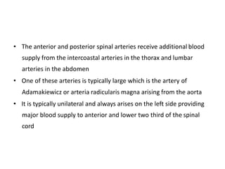 • The anterior and posterior spinal arteries receive additional blood
supply from the intercoastal arteries in the thorax and lumbar
arteries in the abdomen
• One of these arteries is typically large which is the artery of
Adamakiewicz or arteria radicularis magna arising from the aorta
• It is typically unilateral and always arises on the left side providing
major blood supply to anterior and lower two third of the spinal
cord
 